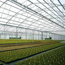 DIY Guide to Clear Tarps and Plastic Sheeting for Greenhouse Covers