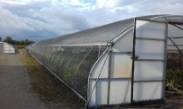Clear Solutions: The Benefits of Clear Tarps and Sheeting for Greenhouses and More
