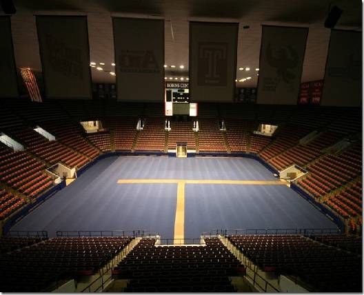 Gymnasium Coverings provide sporty and valuable options for your facilities