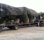 Top 10 Tarp Uses for Landscaping and Lawn Care