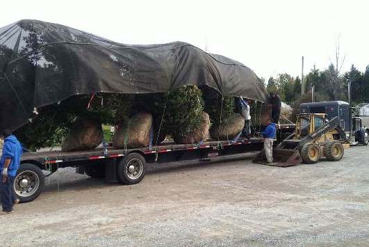 Landscape Tarps | Nursery Tarps