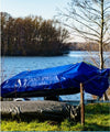 Blue Reinforced Poly Tarps by the Case