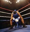 Boxing Ring Canvas Cover