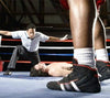 Canvas Boxing Ring Cover