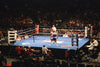Boxing Ring Canvas Cover
