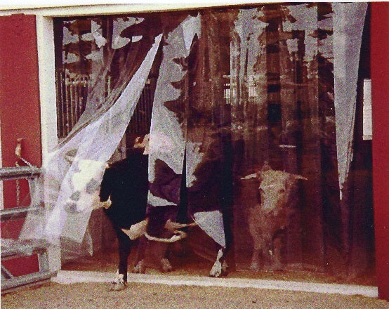 Standard Size Clear Vinyl Strip Doors