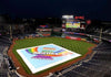 Baseball Field Tarps - 10 oz