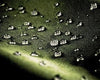 Green Canvas Tarps - Waterproof Canvas Tarps