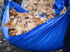 Blue Leaf Tarp