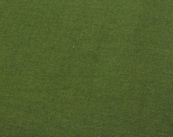 Olive Canvas Color
