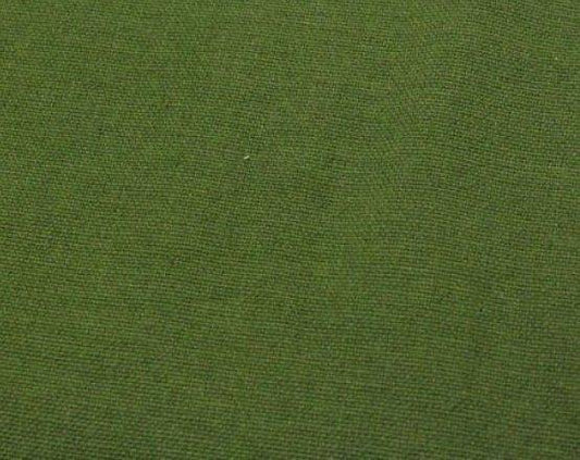 Olive Canvas Color