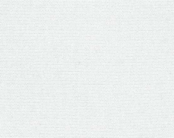 White Canvas Color