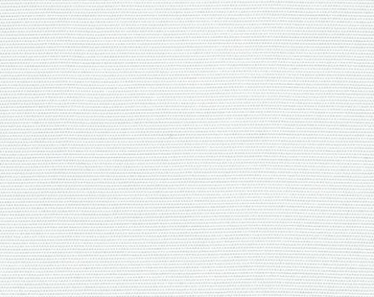 White Canvas Color