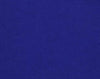 Blue Canvas Color