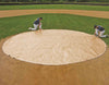 Major League Baseball Mound Covers