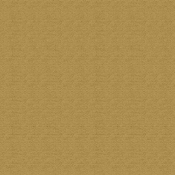 Tan Canvas